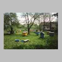 104-1043 Bienenstoecke auf dem Rasen zwischen dem ehemaligen Gutshaus Smelkus und dem Hof Klein. Heute sind es Bienen der Russen..jpg